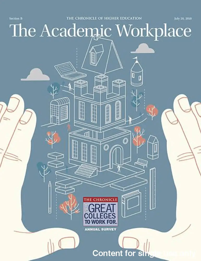 Academic Workplace 2018 Supplement